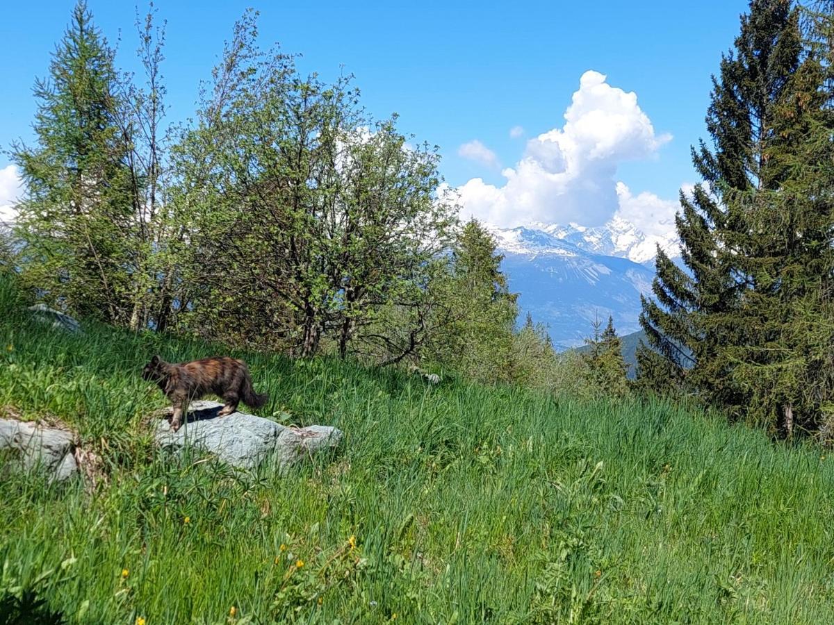 Auberge De L'Ours Les Collons Exteriér fotografie